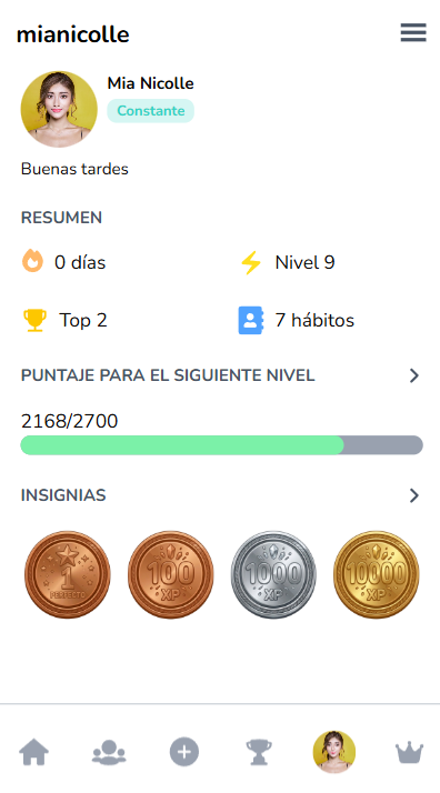 Perfil con insignias y nivel